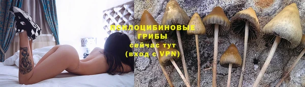 таблы Лагань