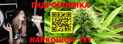 марихуана Аргун