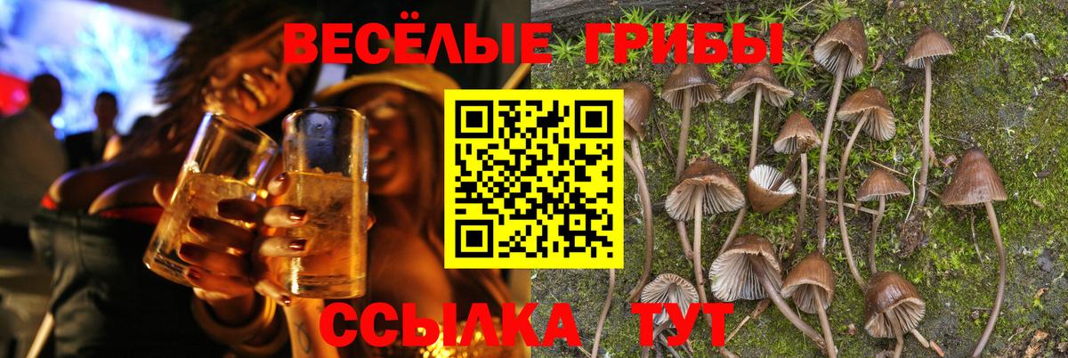 где купить наркоту  Псилоцибиновые грибы MAGIC MUSHROOMS  Вход с VPN  Псилоцибиновые грибы Magic Shrooms  Малгобек 