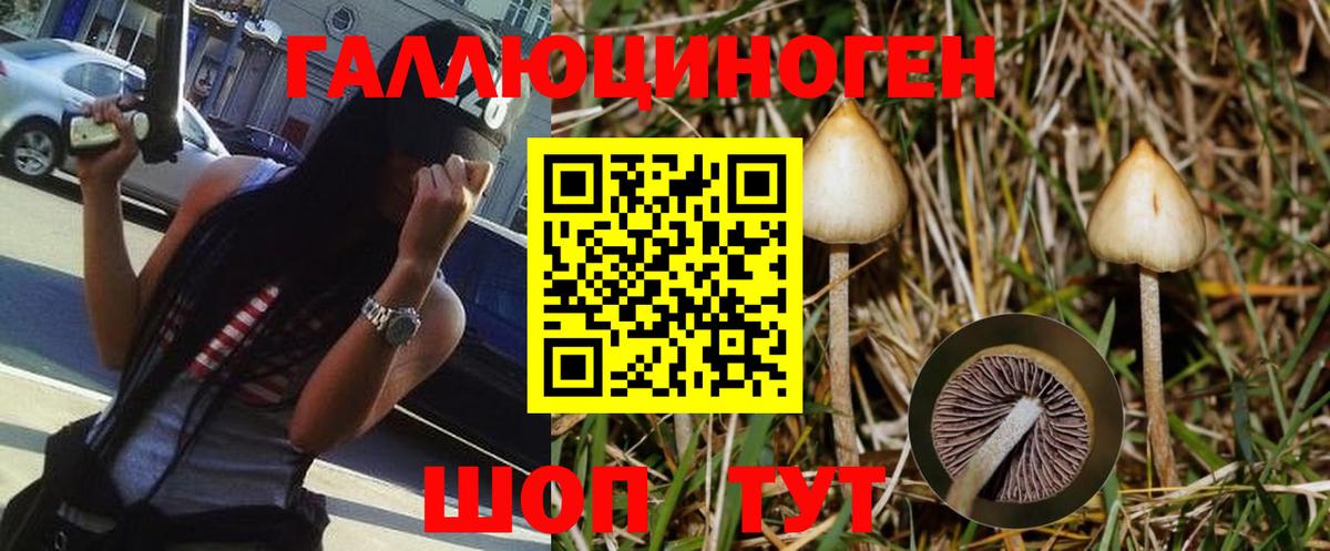 Псилоцибиновые грибы мицелий Малгобек