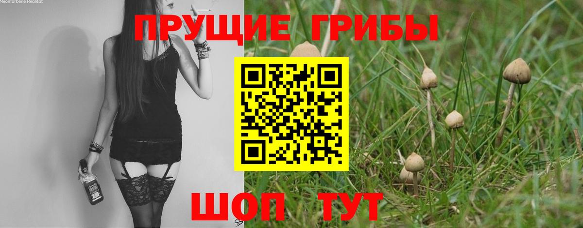 Галлюциногенные грибы мухоморы  Малгобек 